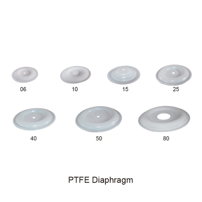Bagian Pompa Diafragma Ganda Dioperasikan PTFE Udara