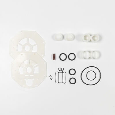 Tekanan Maksimum 120psi Aliran Maksimum 270gpm Pompa Diafragma PTFE AODD untuk Pengolahan Air Limbah dan Irigasi